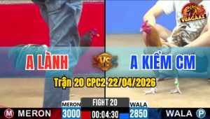 Trận 20 CPC2 22/04/2026 - Gà Khét Anh Kiểm CM Canh Nạp 1 Cước Hốt Bạc