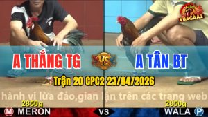 Trận 20 CPC2 23/04/2026 - Gà Xanh Canh Chăn Mấy Cây Hốt Bạc