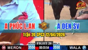 Trận 20 CPC3 12/04/2026 - ĐIỀU VÀNG ĐÂM NHIỀU KHÔNG ĂN, BỊ PHẢN 1 CÂY BUNG CHẠY