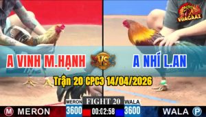Trận 20 CPC3 14/04/2026 - Điều Phản Chân Cú Hư Hình  Hết Đứng