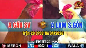 Trận 20 CPC3 16/04/2026 - Điều Đá Mấy Chân Bướm Hư Giò Hết Đứng