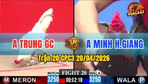 Trận 20 CPC3 20/04/2026 - Xanh Lì Đòn Gồng Tới Phút 90 Kéo Lúa Về Bồ