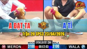Trận 20 CPC3 23/04/2026 - Gà Đỏ Có Chân Cựa Quá Nghiệt