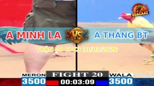 Trận 20 CPC3 31/03/2026 - Má Minh Ra Gặp Cọp Thắng Bến Tre Và Cái Kết