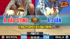 Trận 21 CPC2 07/04/2026 - Bướm Ra Chân Quyết Định Camele Hư Hình Hết Đứng