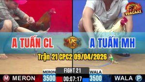 Trận 21 CPC2 09/04/2026 - Bướm Buôn Đuôi Điều Gẫy Chân Sau 2 Cú Đá