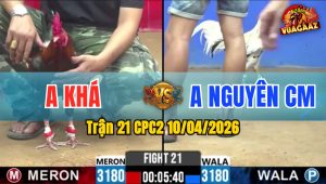 Trận 21 CPC2 10/04/2026 - Điều Hạ Bướm Ở Phút Cuối Cùng Với Chân Quyết Định