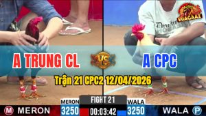 Trận 21 CPC2 12/04/2026 - Úa Giao Nạp Quá Hay Điều Gãy Chân Nằm Biệt