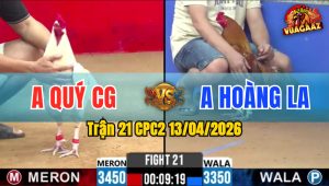 Trận 21 CPC2 13/04/2026 - Vàng Đá Úa Ói Xong Vàng Bỏ Chạy Phản Tang Ăn 1