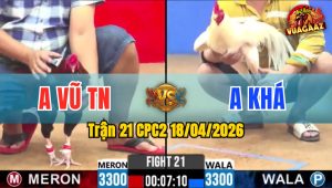 Trận 21 CPC2 18/04/2026 - Điều Nạp Trên Mu Lưng Bưng Úa Ra Ngoài Nhanh lẹ