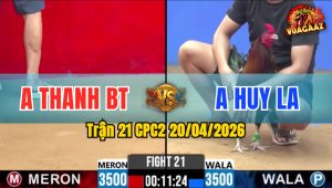 Trận 21 CPC2 20/04/2026 - Cú Đâm Như Xôm Điều Hư Hình Hết Đứng