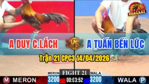 Trận 21 CPC3 14/04/2026 - Điều Vàng Đâm Chân Hiểm  Điều Xanh Hết Sửa