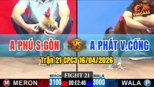 Trận 21 CPC3 16/04/2026 - Chuối Bông Đâm Điều Hư Hình Hết Nằm 1 Đóng