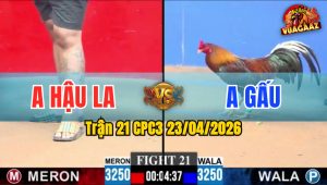 Trận 21 CPC3 23/04/2026 - Gà Đỏ Có Chân Chí Mạng Hạ Đối Thủ Tuyệt Đối
