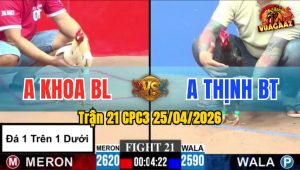 Trận 21 CPC3 25/04/2026 - Gà Anh Khoa BL Đá Không Cho Đổi Thủ Cơ Hội
