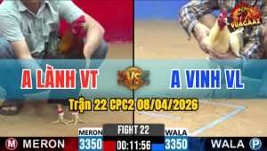 Trận 22 CPC2 08/04/2026 - Điều Đá Trên Lưng Úa Quay Đầu La Miệng