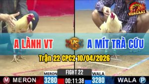 Trận 22 CPC2 10/04/2026 - Bướm Lên Chân Bưng Úa Ra Ngoài