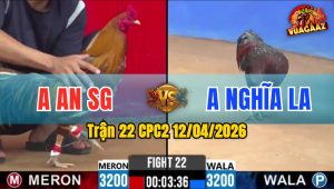 Trận 22 CPC2 12/04/2026 - Vàng Đá 4 Chân Xanh Gãy Chân Nằm Tại Chỗ