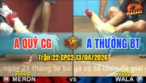 Trận 22 CPC2 13/04/2026 - Điều Quá Lực Đá Bướm Nằm Biệt Phút Cuối