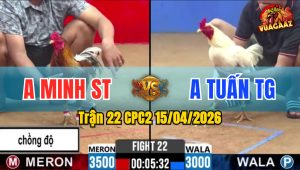 Trận 22 CPC2 15/04/2026 - Xám Giao Nạp Quá Hay Úa Chết Ngay Tại Chỗ