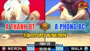Trận 22 CPC2 16/04/2026 - Xanh Đâm Như Xôm 1 Tay Nước Đỏ Gãy Chân