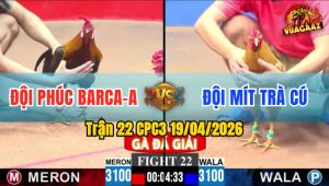 Trận 22 CPC3 19/04/2026 - Cú Giao Nạp Quá Hay Điều Nằm Biệt Sau 2 Tay Nước