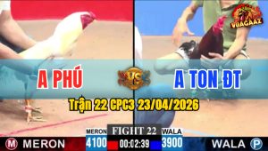 Trận 22 CPC3 23/04/2026 - Gà Xanh Đá Quá Nhanh Quá Nguy Hiểm