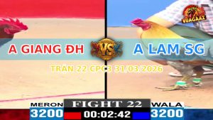 Trận 22 CPC3 31/03/2026 - Gà Xám Đâm Như Chĩa Hạ Điều Tuyệt Đối