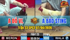 Trận 23 CPC2 07/04/2026 - Idol Sữa Gà Quá Đẳng Cấp Và Cái Kết Gom Ăn 1 Hết Bồ