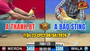 Trận 23 CPC2 08/04/2026 - Thách Thức Idol Bảo Sting Và Cái Kết Bái Phục Bái Phục