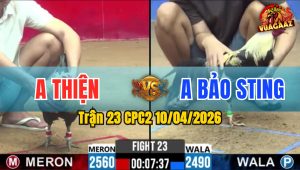 Trận 23 CPC2 10/04/2026 - Đỏ Đâm Quá Tịch Buôn Đuôi Lụm Tiền