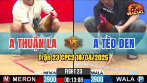 Trận 23 CPC2 18/04/2026 - Điều Nạp Chân Quá Tịch Que Nằm Biệt Dưới Chân