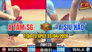 Trận 23 CPC2 23/04/2026 - Gà Đỏ Đá Quá Nặng Đô Xanh Chạy Không Nổi
