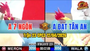 Trận 23 CPC3 12/04/2026 - Bướm Đá Đâm Như Máy  Úa Ói Chết Trên Tay