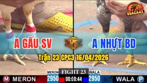 Trận 23 CPC3 16/04/2026 - Cú Đâm Bướm Hư Hình Ói Chạy