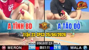 Trận 23 CPC3 25/04/2026 - Anh Táo Đỏ Không Cho Đối Thủ Có Cơn Hội Phản