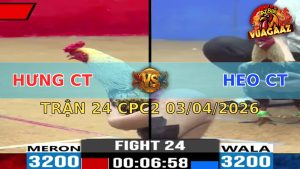 Trận 24 CPC2 03/04/2026 - Bướm Quá Tốc Độ 2 Chân Chuối Nằm Biệt