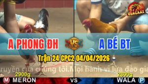 Trận 24 CPC2 04/04/2026 - XẢ CỰA