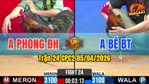 Trận 24 CPC2 05/04/2026 - XẢ CỰA