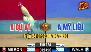 Trận 24 CPC2 08/04/2026 - Chuối Buôn Đuôi Bưng Điều Ra Ngoài Mau Lẹ