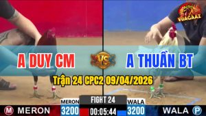 Trận 24 CPC2 09/04/2026 - Đỏ Buôn Đuôi Xanh Nằm 1 Chỗ