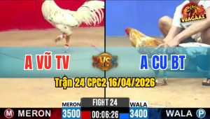 Trận 24 CPC2 16/04/2026 - Cú Nạp Chân Quá Lớn Úa Hư Chân Nằm Biệt