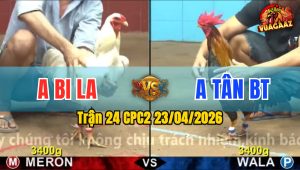 Trận 24 CPC2 23/04/2026 - Gà Xanh Chấp 6 Chấm Đá Bao Thấm