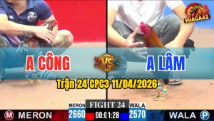 Trận 24 CPC3 11/04/2026 - GIẰNG CO  ĂN MIẾNG TRẢ MIẾNG  ĐIỀU VÀNG A LÂM VẪN HAY HƠN