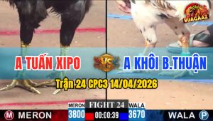 Trận 24 CPC3 14/04/2026 - Que Đâm Như Máy  2 Chân Lụm Bướm
