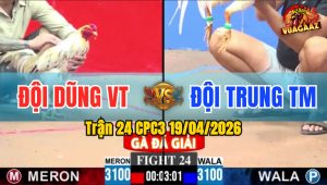 Trận 24 CPC3 19/04/2026 - Xanh Nhanh Như Tép Đỏ Nằm Tại Chỗ Sau 4 Cú Đá