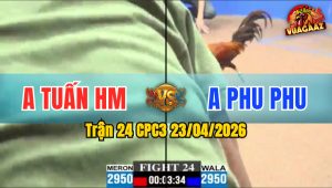 Trận 24 CPC3 23/04/2026 - Gà Khét Cọp Của Phu Phu Đá Quá Dâm