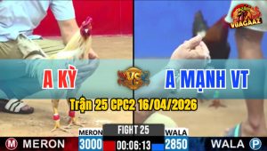 Trận 25 CPC2 16/04/2026 - Bướm Buôn Đuôi Điều Hư Hình Hết Sữa