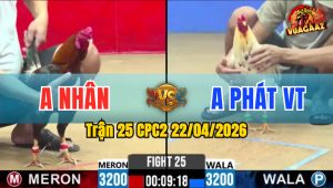 Trận 25 CPC2 22/04/2026 - Gà Điều Đá Canh Chặn Quá Khéo