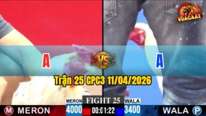 Trận 25 CPC3 11/04/2026 - CHÊNH LỆCH 6 CHẤM GÀ  XANH K THỂ LÀM NÊN BẤT NGỜ